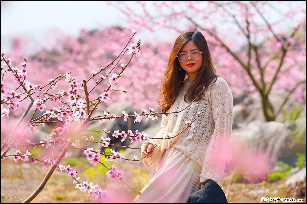 【春天，广西桂林灌阳县向您发出邀请！】望月岭上桃花开 - 游山玩水 - 汕尾生活社区 - 汕尾28生活网 sw.28life.com