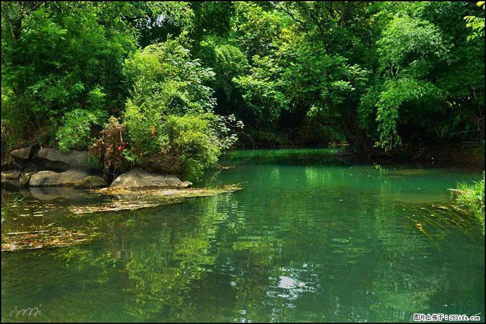 【春天，广西桂林灌阳县向您发出邀请！】如梦似幻莲溪庐 - 游山玩水 - 汕尾生活社区 - 汕尾28生活网 sw.28life.com