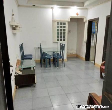 渔村小学宿舍5楼2房2厅2阳台仅租650元 - 房屋出租 - 房屋租售 - 汕尾分类信息 - 汕尾28生活网 sw.28life.com