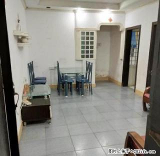 渔村小学宿舍5楼2房2厅2阳台仅租650元 - 汕尾28生活网 sw.28life.com