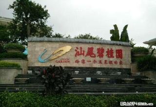 香洲碧桂园 3室2厅123平米 精装修 押一付三 - 汕尾28生活网 sw.28life.com