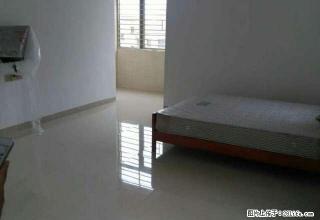 东海 东陆酒店附近1房1厅电梯房带家具 月租1千 - 汕尾28生活网 sw.28life.com