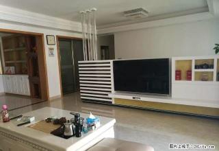 金玉湾 市中心 全家具 多套出租 - 汕尾28生活网 sw.28life.com