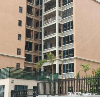 稍有的全海景三房出租 - 汕尾28生活网 sw.28life.com