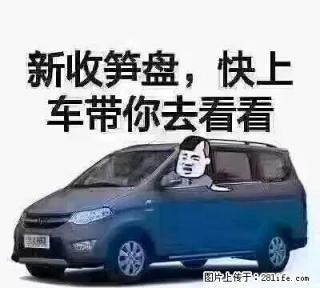 园林单房，带大部分家具 - 汕尾28生活网 sw.28life.com
