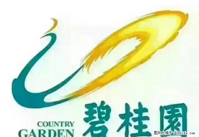 碧桂园一期小高层电梯房3房2厅2卫2阳台 全家具家电 - 房屋出租 - 房屋租售 - 汕尾分类信息 - 汕尾28生活网 sw.28life.com