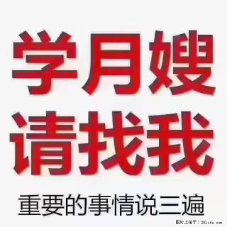 【招聘】月嫂，上海徐汇区 - 汕尾28生活网 sw.28life.com
