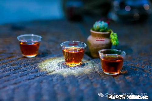 时间果百年古树2025年春红茶 - 购物交流 - 汕尾生活社区 - 汕尾28生活网 sw.28life.com