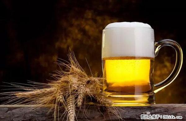 原来它这么毒,然而竟然满大街都是.... - 汕尾生活资讯 - 汕尾28生活网 sw.28life.com