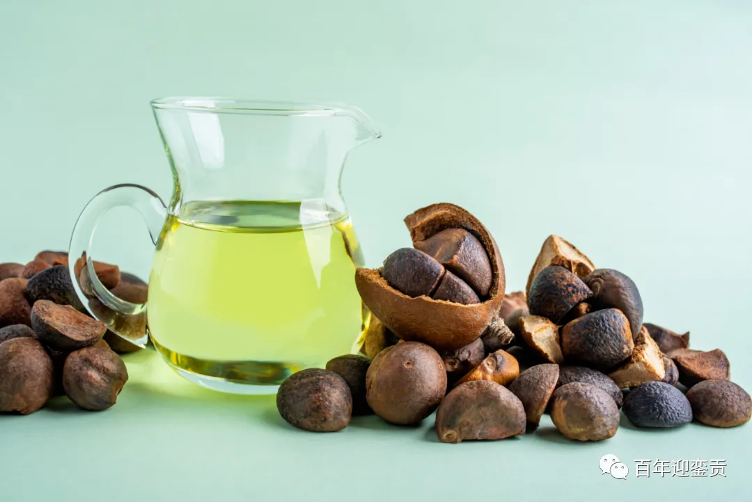 世界没有真相，只有认知，最好的食用油是中国的山茶油！ - 汕尾生活资讯 - 汕尾28生活网 sw.28life.com