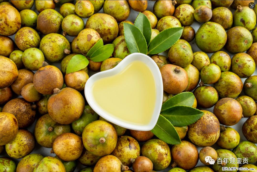 世界没有真相，只有认知，最好的食用油是中国的山茶油！ - 汕尾生活资讯 - 汕尾28生活网 sw.28life.com