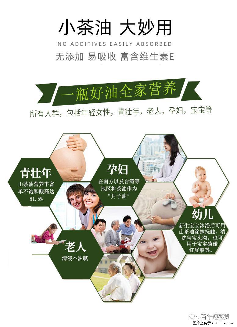 世界没有真相，只有认知，最好的食用油是中国的山茶油！ - 汕尾生活资讯 - 汕尾28生活网 sw.28life.com