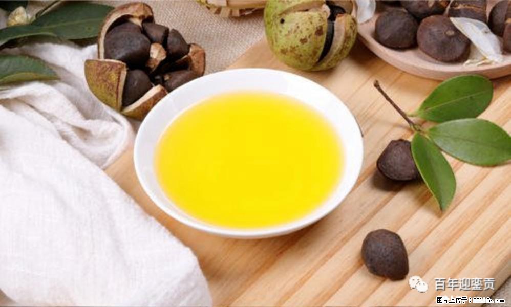 世界没有真相，只有认知，最好的食用油是中国的山茶油！ - 汕尾生活资讯 - 汕尾28生活网 sw.28life.com