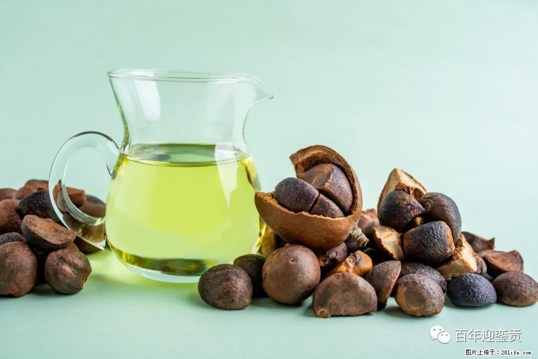 世界没有真相,只有认知,最好的食用油是中国的山茶油! - 汕尾生活资讯 - 汕尾28生活网 sw.28life.com