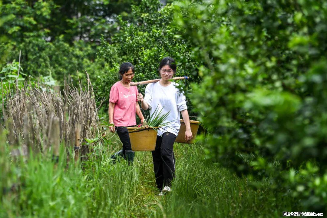 全网追的“扁担女孩”，找了一份暑假工，时薪12元 - 汕尾生活资讯 - 汕尾28生活网 sw.28life.com