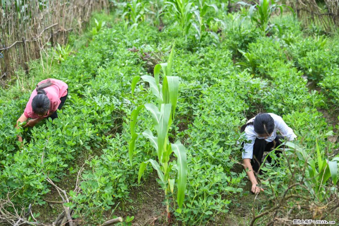 全网追的“扁担女孩”，找了一份暑假工，时薪12元 - 汕尾生活资讯 - 汕尾28生活网 sw.28life.com