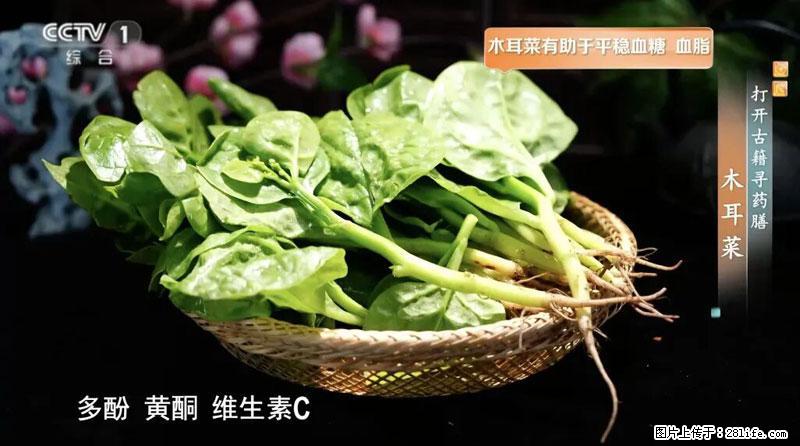 比牛奶补钙还厉害！凉血解毒、稳血糖...这菜冬天必吃，很多人却当草 - 汕尾生活资讯 - 汕尾28生活网 sw.28life.com