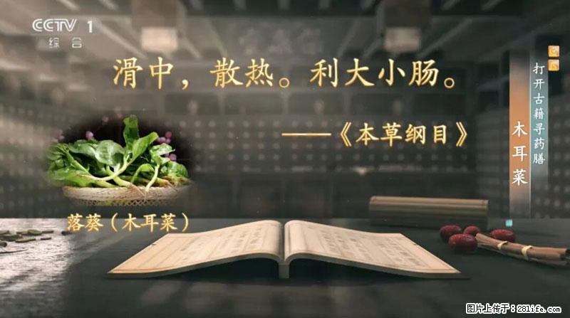 比牛奶补钙还厉害！凉血解毒、稳血糖...这菜冬天必吃，很多人却当草 - 汕尾生活资讯 - 汕尾28生活网 sw.28life.com