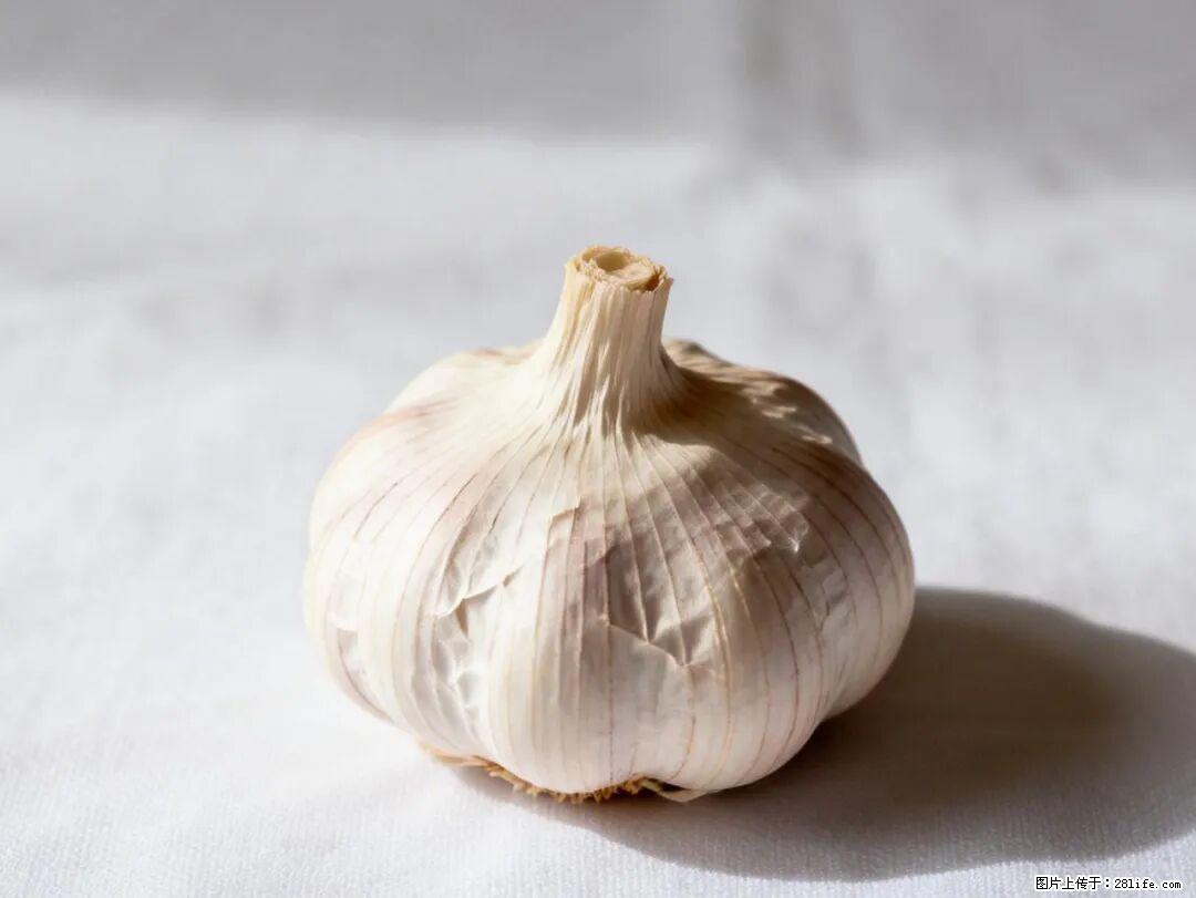 关于大蒜,除了“天然抗生素”,这4个谣言更该警惕! - 汕尾生活资讯 - 汕尾28生活网 sw.28life.com
