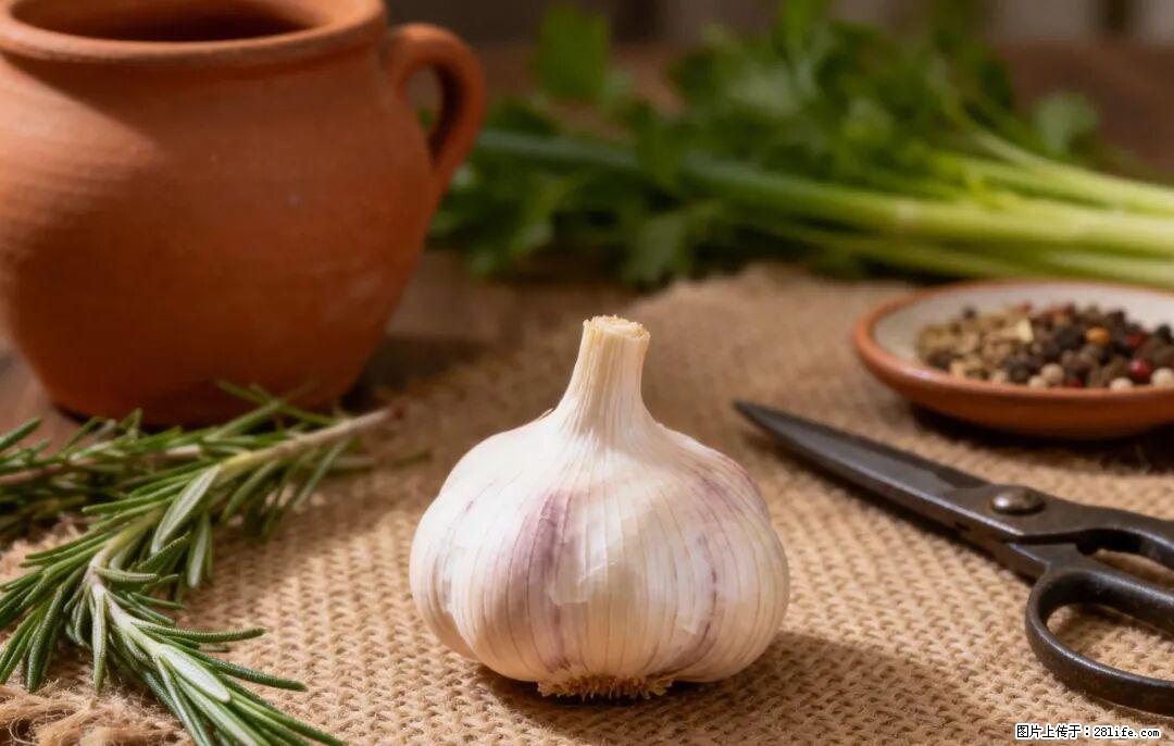 关于大蒜,除了“天然抗生素”,这4个谣言更该警惕! - 汕尾生活资讯 - 汕尾28生活网 sw.28life.com
