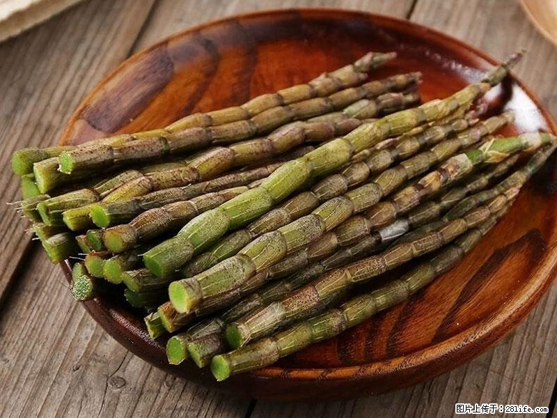 铁皮石斛的作用与功能主治 - 汕尾生活资讯 - 汕尾28生活网 sw.28life.com