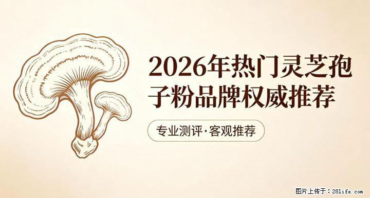 灵芝孢子粉含量越高越有效？2026 年七款热门品牌深度实测，肠胃敏感者避坑指南 - 汕尾生活资讯 - 汕尾28生活网 sw.28life.com